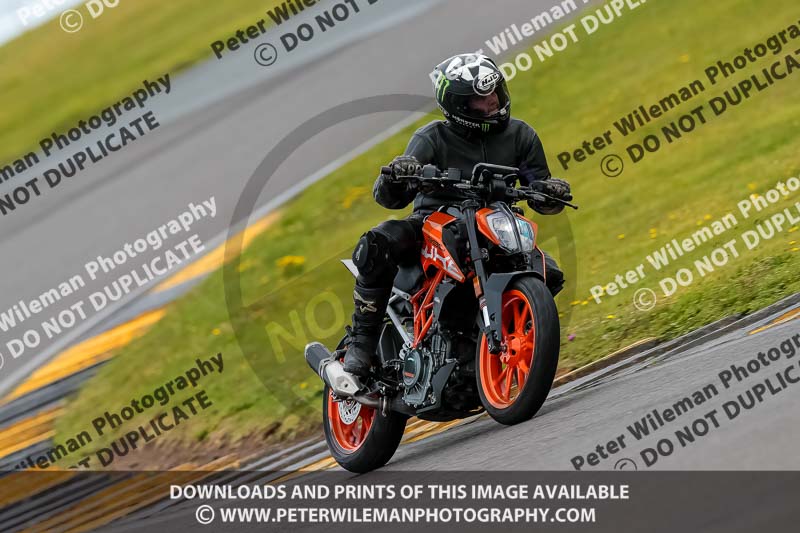 PJ Motorsport 2019;anglesey no limits trackday;anglesey photographs;anglesey trackday photographs;enduro digital images;event digital images;eventdigitalimages;no limits trackdays;peter wileman photography;racing digital images;trac mon;trackday digital images;trackday photos;ty croes